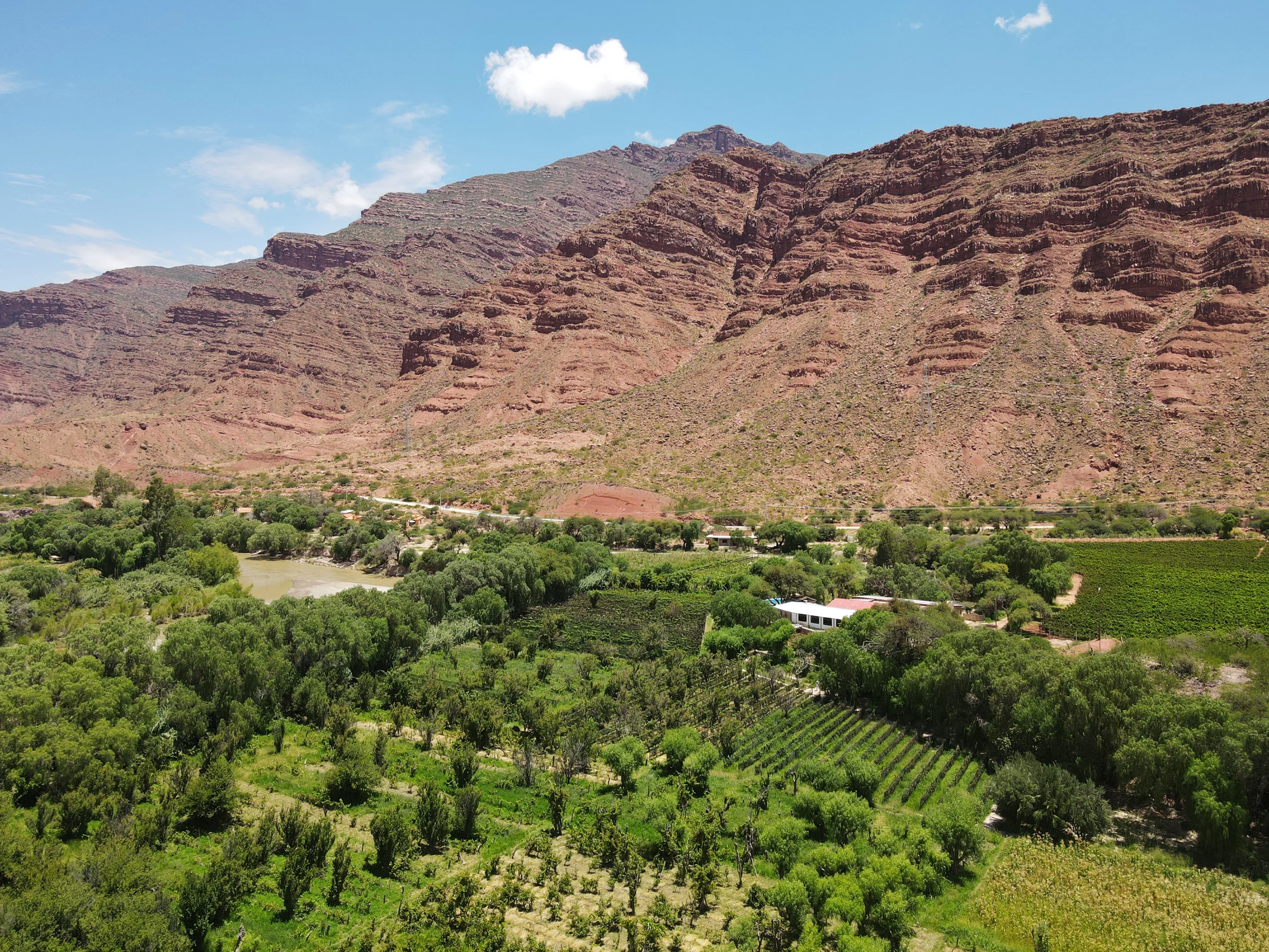 Bodega Cepa de Oro