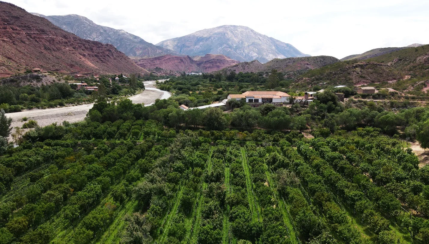 Bodega El Majuelo