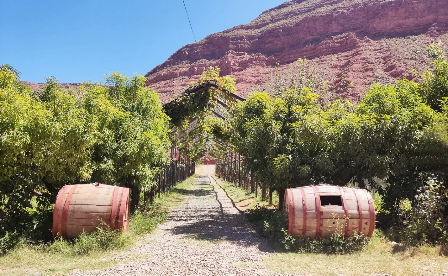 Bodega Santa Lucía